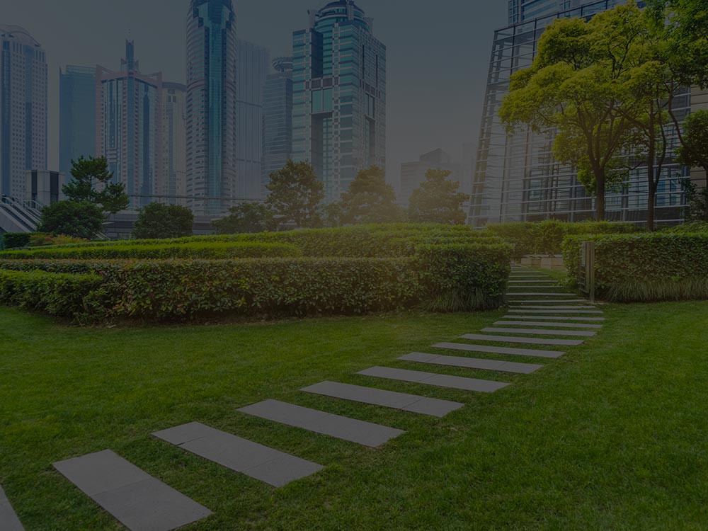 Commercial Lawn Care